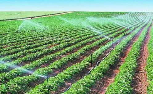 欧美肥B被大鸡八操BBBB农田高 效节水灌溉